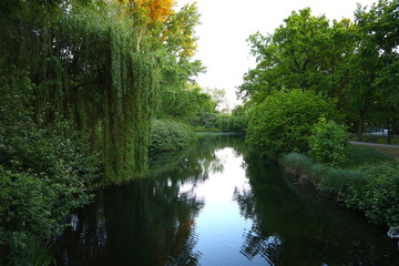Fototapeta na wymiar Lago circondato da foresta. Foto scattata nel parco Tiergarten a Berlino.