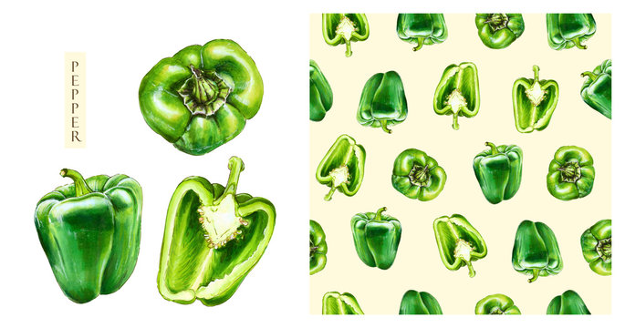 Green bell pepper isolated on white background. Watercolor seamless pattern of vegetables, raw green pepper. Hand-drawn healthy food.