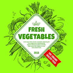 Fresh vegetables banner concept. Hand drawn vegetables set. Template for your design works. Vector illustration.