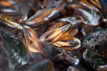 Mussels roasted on a grill pan. Seafood cooked outdoors. Selective focus. mussel steaming, seafood close up