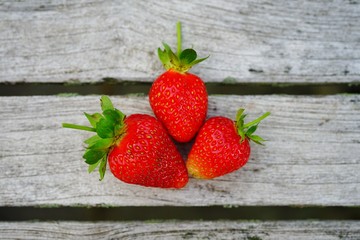 Three red ripe strawberries freshly picked on a garden table