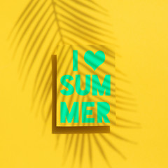I love summer tropical palm leaf shadow label. Exotic summer background.