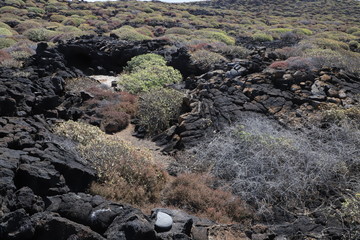coulée de lave de Lanzarote