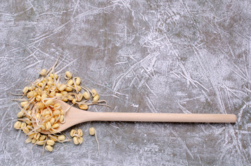 Fresh sprouts of bean seeds.