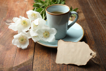 white anemone flower