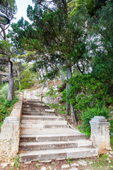 Beautiful paths of the Gradac Park in Dubrovnik