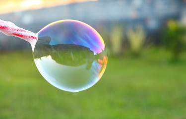 Buble Soap ball with lawn in the background