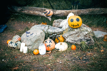 Halloween Pumpkin Decor