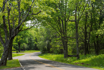 Picnic Area in a US National Park