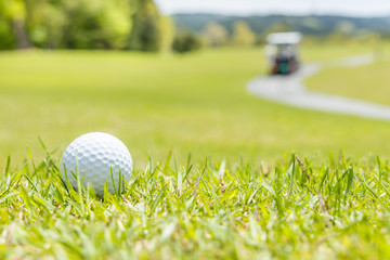 新緑のゴルフ場