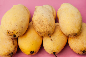Pile of yellow mangoes on bright pink table cloth background
