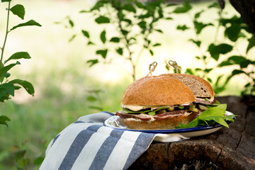 Country sandwich. Burger with turkey and spinach in a rustic style against the background of green...