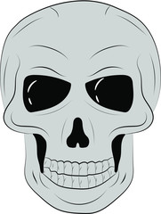 Outline grey vector skull in black