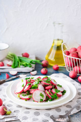 Salad with radish, green onions and pink salt