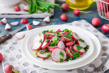 Salad with radish, green onions and pink salt