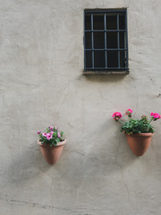 Fototapeta na wymiar Old vintage wall with two flowers on it. Simple urban design