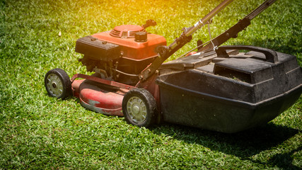 Fototapeta premium The rear view of the workers is using a lawn mower on the ground.