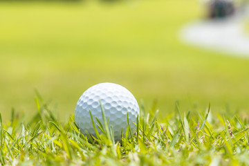 新緑のゴルフ場