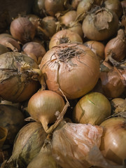 onions which lies in a heap