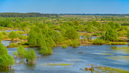 Horizontal landscape: the river flooded the valley. River and the field on a sunny summer day. Voroninsky National Park, Tambov Oblast, Russia.