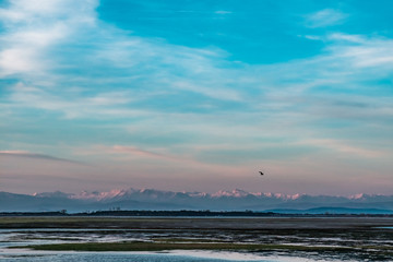 Fototapeta premium Spring sunset in the lagoon of Grado