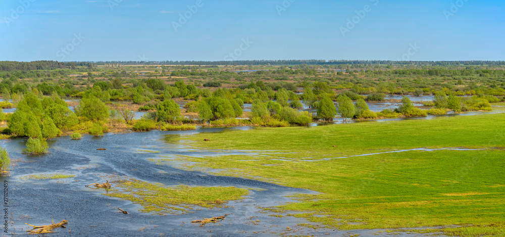 Wall mural Panoramic photo. Horizontal landscape: the river flooded the valley. River and the field on a sunny summer day. Voroninsky National Park, Tambov Oblast, Russia. - Wall murals