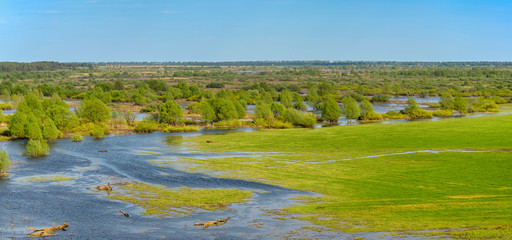 Panoramic photo. Horizontal landscape: the river flooded the valley. River and the field on a sunny summer day. Voroninsky National Park, Tambov Oblast, Russia.