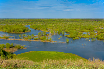 Horizontal landscape: the river flooded the valley. River and the field on a sunny summer day....