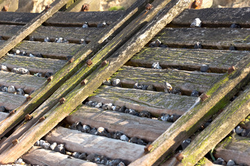 Aging wooden breakwater