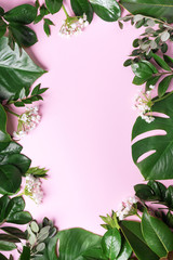 Fototapeta premium Tropical green leaf frame on pink background with copy space. Flat lay. Top view. Summer or spring nature concept