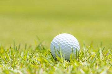 新緑のゴルフ場