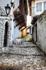 Berat Albania, Berati, UNESCO world heritage site, Albania, Europe
