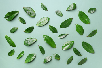 Spring leaves pattern on green background. Creative layout. Top view. Flat lay.
