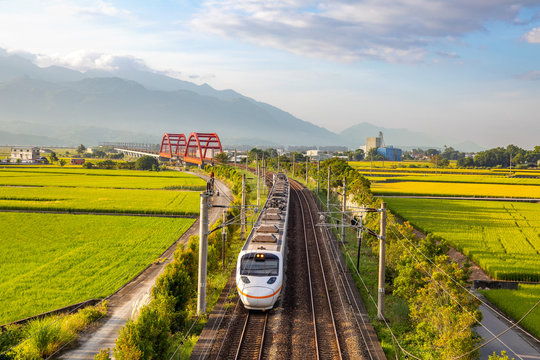 train on the field in yuli, hualien, taiwan