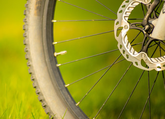 Front Hub and Disk Brake of a Bicycle