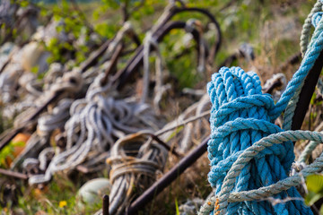 a lot of vessels in the port after fishing for fish
