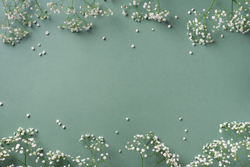 Small white gypsophila flowers on pastel green background. Women's Day, Mother's Day, Valentine's...