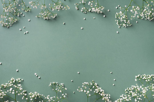 Small white gypsophila flowers on pastel green background. Women's Day, Mother's Day, Valentine's Day, Wedding concept. Flat lay. Top view. Copy space