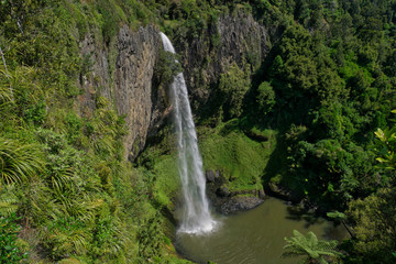 Fototapeta na wymiar Wasserfall in grüner Natur