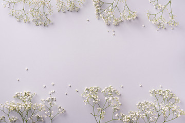 Small white gypsophila flowers on pastel grey background. Women's Day, Mother's Day, Valentine's Day, Wedding concept. Flat lay. Top view. Copy space
