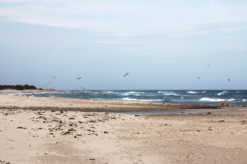 Fototapeta na wymiar Spiaggia di Berchida