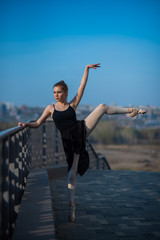 Fototapeta na wymiar Ballerina in a tutu posing standing by the fence. Beautiful young woman in black dress and pointe dancing outside. Gorgeous ballerina performing a dance outdoors