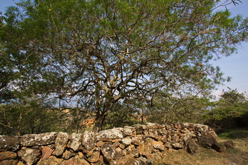 Hiking track Camino Real from Barichara to Guane in Colombia