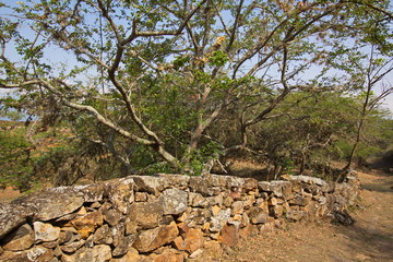 Hiking track Camino Real from Barichara to Guane in Colombia