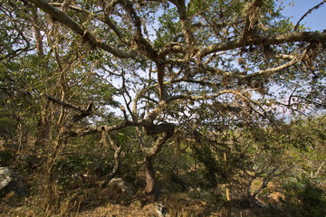 Hiking track Camino Real from Barichara to Guane in Colombia