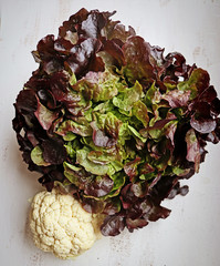 Red batavia lettuce and cauliflowe:summer tasty vegetables