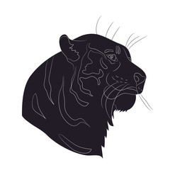 vector illustration portrait tiger drawing silhouette, vector