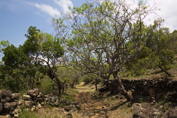 Hiking track Camino Real from Barichara to Guane in Colombia