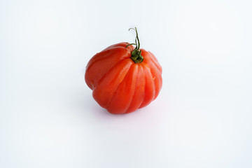 Large freshly harvested oxheart tomato. White background, high resolution