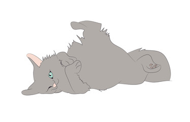 vector illustration of a cat that lies drawing color